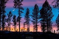 Sunset Custer.jpg